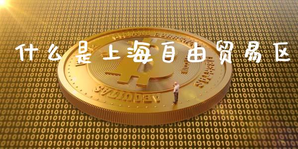 什么是上海自由贸易区_https://www.fansifence.com_国际期货行情_第1张