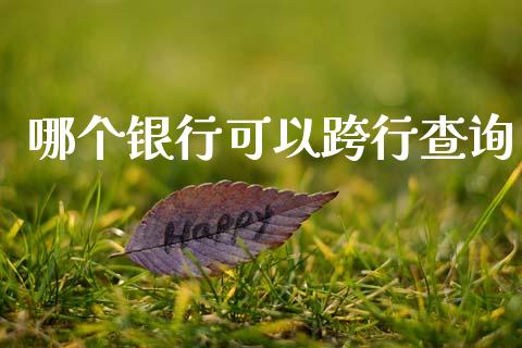 哪个银行可以跨行查询_https://www.fansifence.com_恒指交易时间_第1张