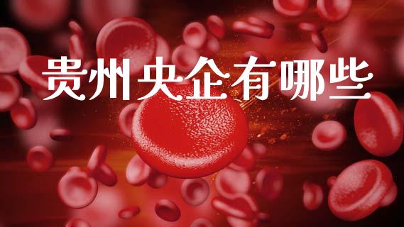 贵州央企有哪些_https://www.fansifence.com_国际期货_第1张