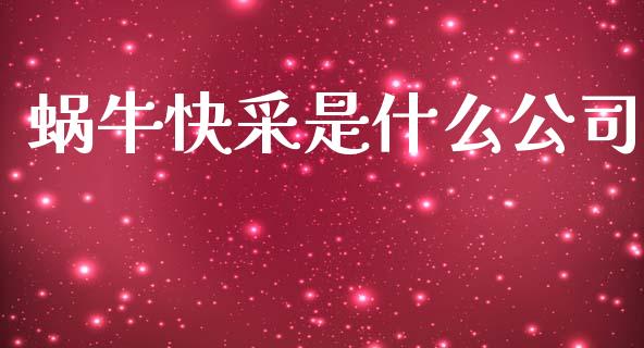 蜗牛快采是什么公司_https://www.fansifence.com_中国国际期货_第1张