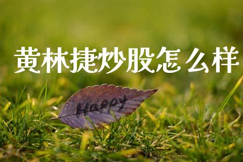 黄林捷炒股怎么样_https://www.fansifence.com_中国国际期货_第1张