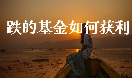 跌的基金如何获利_https://www.fansifence.com_中国国际期货_第1张