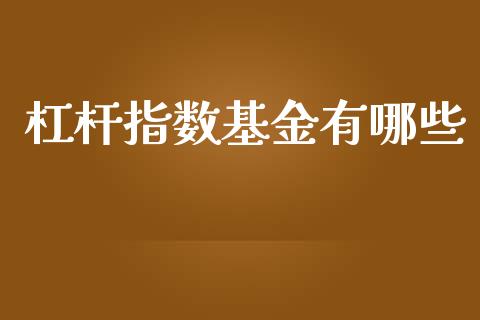 杠杆指数基金有哪些_https://www.fansifence.com_恒指交易时间_第1张