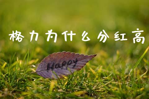格力为什么分红高_https://www.fansifence.com_中国国际期货_第1张