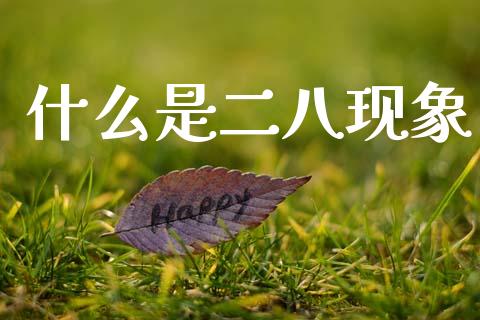 什么是二八现象_https://www.fansifence.com_中国国际期货_第1张