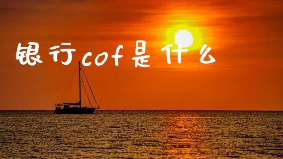 银行cof是什么_https://www.fansifence.com_中国国际期货_第1张