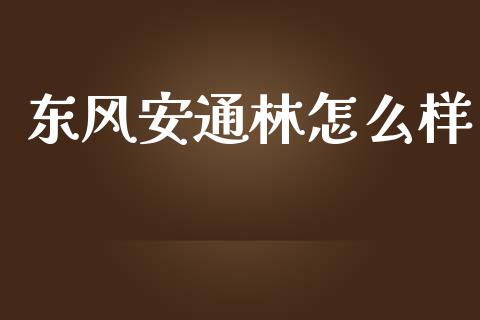 东风安通林怎么样_https://www.fansifence.com_中国国际期货_第1张