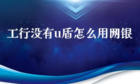 工行没有u盾怎么用网银_https://www.fansifence.com_中国国际期货_第1张