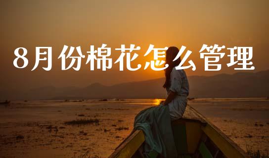 8月份棉花怎么管理_https://www.fansifence.com_中国国际期货_第1张