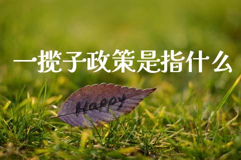 一揽子政策是指什么_https://www.fansifence.com_国际期货_第1张