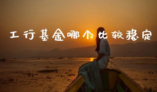 工行基金哪个比较稳定_https://www.fansifence.com_国际期货_第1张