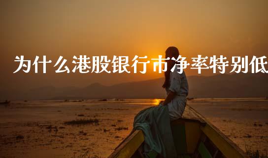 为什么港股银行市净率特别低_https://www.fansifence.com_国际期货行情_第1张