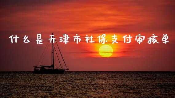 什么是天津市社保支付审核单_https://www.fansifence.com_中国国际期货_第1张