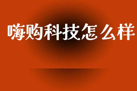 嗨购科技怎么样_https://www.fansifence.com_中国国际期货_第1张