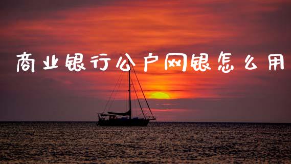 商业银行公户网银怎么用_https://www.fansifence.com_恒指交易时间_第1张
