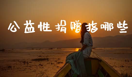 公益性捐赠指哪些_https://www.fansifence.com_恒指交易时间_第1张