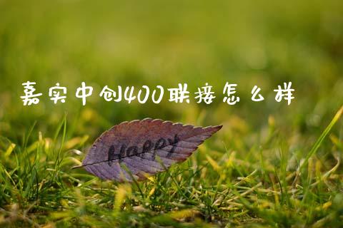 嘉实中创400联接怎么样_https://www.fansifence.com_国际期货行情_第1张