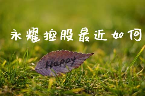 永耀控股最近如何_https://www.fansifence.com_国际期货_第1张