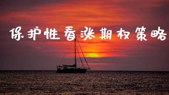 保护性看涨期权策略_https://www.fansifence.com_国际期货_第1张