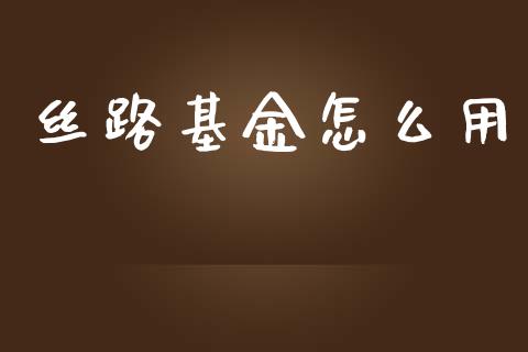 丝路基金怎么用_https://www.fansifence.com_恒指交易时间_第1张