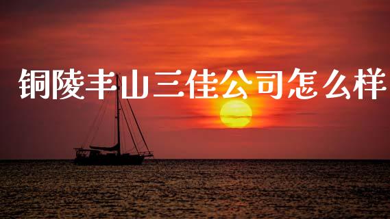铜陵丰山三佳公司怎么样_https://www.fansifence.com_中国国际期货_第1张