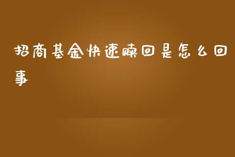 招商基金快速赎回是怎么回事_https://www.fansifence.com_恒指交易时间_第1张