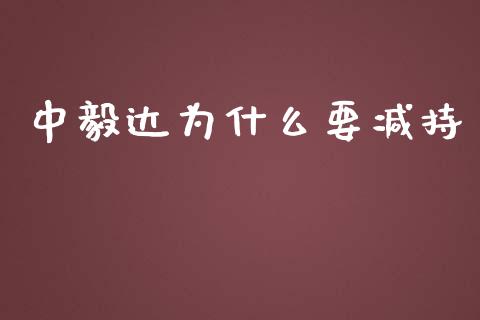 中毅达为什么要减持_https://www.fansifence.com_恒指交易时间_第1张