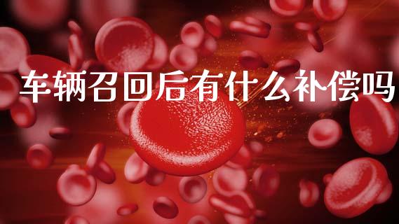 车辆召回后有什么补偿吗_https://www.fansifence.com_国际期货_第1张