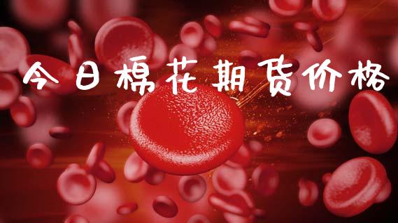 今日棉花期货价格_https://www.fansifence.com_恒指交易时间_第1张