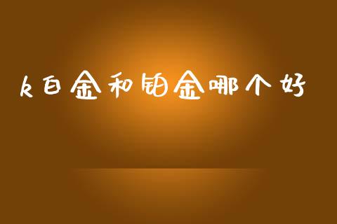 k白金和铂金哪个好_https://www.fansifence.com_国际期货_第1张