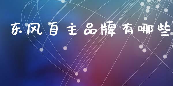 东风自主品牌有哪些_https://www.fansifence.com_国际期货行情_第1张