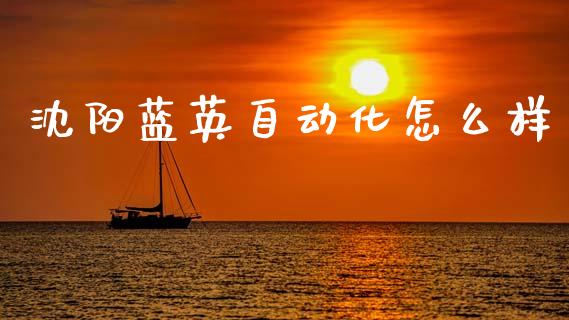 沈阳蓝英自动化怎么样_https://www.fansifence.com_国际期货_第1张