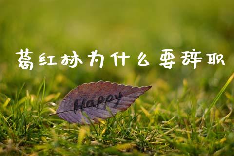 葛红林为什么要辞职_https://www.fansifence.com_国际期货行情_第1张