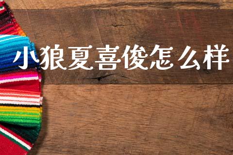 小狼夏喜俊怎么样_https://www.fansifence.com_中国国际期货_第1张