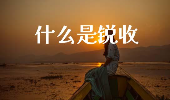 什么是锐收_https://www.fansifence.com_中国国际期货_第1张