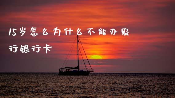 15岁怎么为什么不能办农行银行卡_https://www.fansifence.com_中国国际期货_第1张