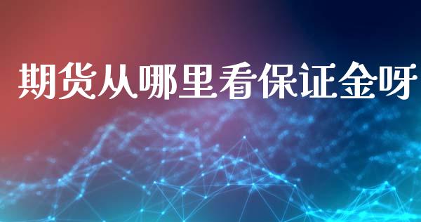 期货从哪里看保证金呀_https://www.fansifence.com_国际期货行情_第1张