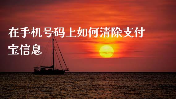在手机号码上如何清除支付宝信息_https://www.fansifence.com_恒指交易时间_第1张