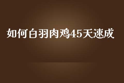 如何白羽肉鸡45天速成_https://www.fansifence.com_国际期货行情_第1张
