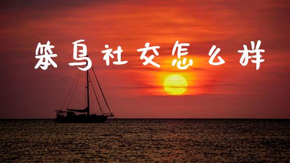 笨鸟社交怎么样_https://www.fansifence.com_恒指交易时间_第1张
