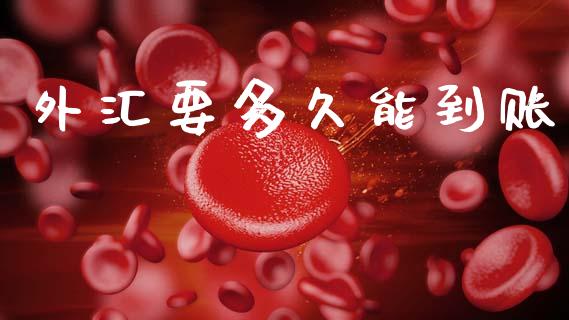 外汇要多久能到账_https://www.fansifence.com_国际期货行情_第1张