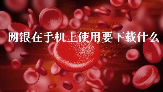 网银在手机上使用要下载什么_https://www.fansifence.com_恒指交易时间_第1张