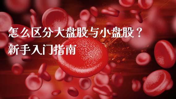 怎么区分大盘股与小盘股？新手入门指南_https://www.fansifence.com_恒指交易时间_第1张