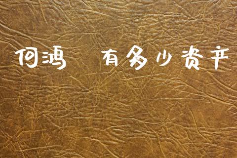 何鸿燊有多少资产_https://www.fansifence.com_恒指交易时间_第1张