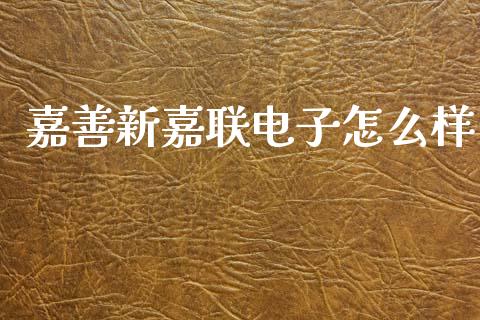 嘉善新嘉联电子怎么样_https://www.fansifence.com_国际期货行情_第1张