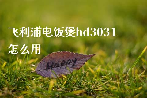 飞利浦电饭煲hd3031怎么用_https://www.fansifence.com_国际期货行情_第1张