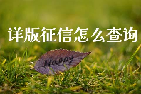 详版征信怎么查询_https://www.fansifence.com_中国国际期货_第1张