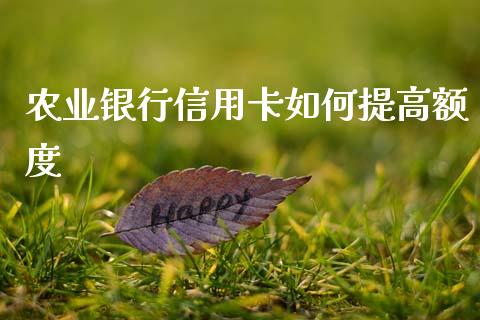 农业银行信用卡如何提高额度_https://www.fansifence.com_恒指交易时间_第1张