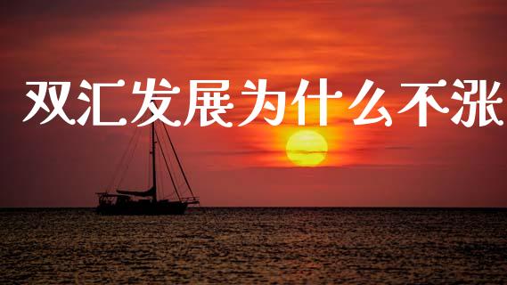 双汇发展为什么不涨_https://www.fansifence.com_恒指交易时间_第1张