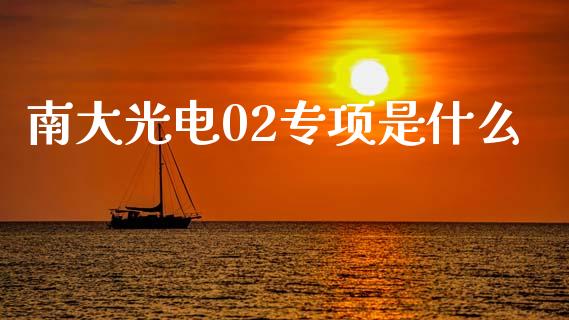 南大光电02专项是什么_https://www.fansifence.com_恒指交易时间_第1张